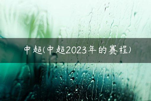 中超(中超2023年的赛程)